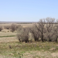 Cottonwood Ranch images 2