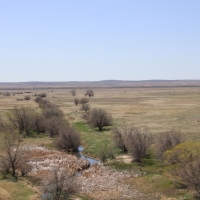 Cottonwood Ranch images 3