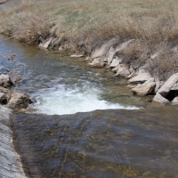 Cottonwood Ranch images 4
