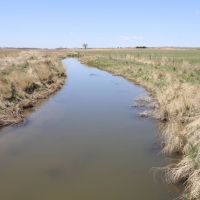 Cottonwood Ranch images 5