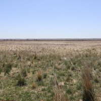 Cottonwood Ranch images 6