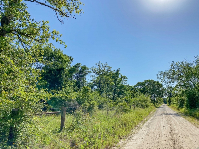5 Acres Tract 7 Mustang Oaks featured image