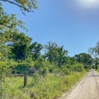 5 Acres Tract 7 Mustang Oaks