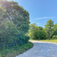 5 Acres Tract 7 Mustang Oaks images 6