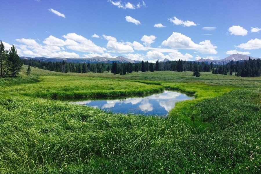 446 Privately Deeded Acres in the Uinta Mountains Hunting Land for