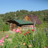 10500 FS 181a Road Salida CO images 6