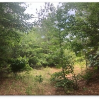 43 Acres in Attala County in McCool MS images 2