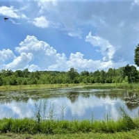 Cabin-Creek-Pond-Hunting images 2
