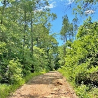 Cabin-Creek-Pond-Hunting images 4