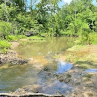Cabin-Creek-Pond-Hunting images 5