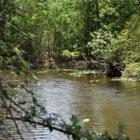 Bremond Texas 164 acres images 2