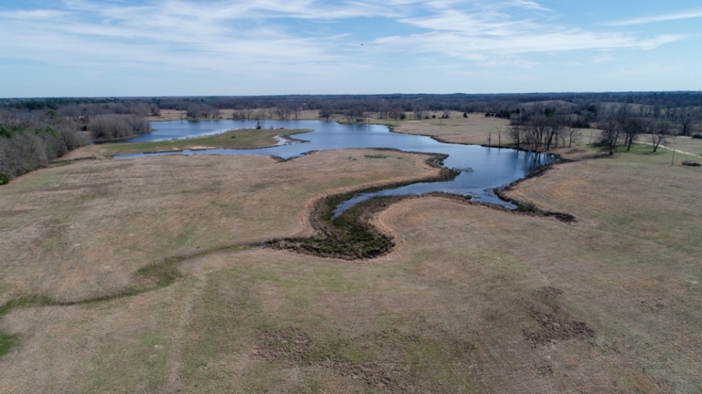 158 Acres in Red River County featured image