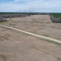 158 Acres in Red River County images 3