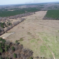 158 Acres in Red River County images 4