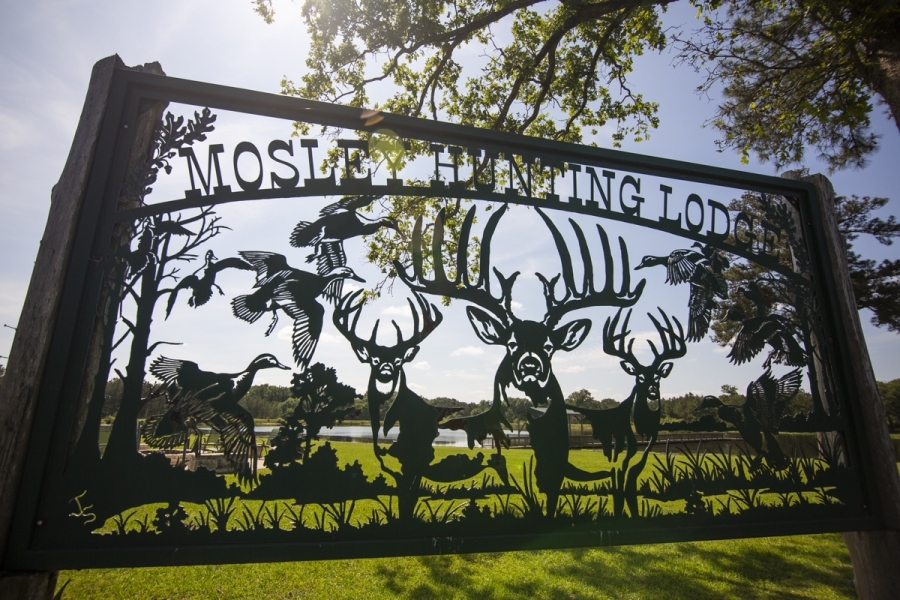 713 Acres Mosley Hunting Lodge featured image