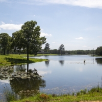 713 Acres Mosley Hunting Lodge images 2