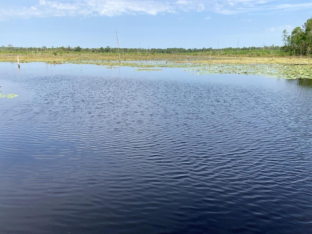 The Big Creek Lake Pond and Timber Retreat featured image