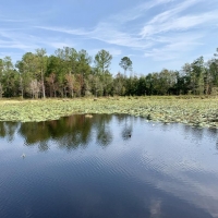 The Big Creek Lake Pond and Timber Retreat images 3