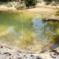 The Big Creek Lake Pond and Timber Retreat images 4