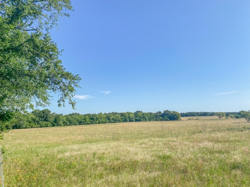 14 Acres Tract 9 Mustang Oaks featured image