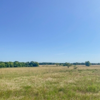 14 Acres Tract 9 Mustang Oaks images 5