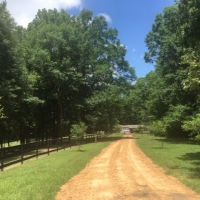 Home Camp-Hardwoods-Creek-Ponds
