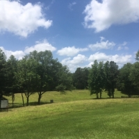 Home Camp-Hardwoods-Creek-Ponds images 5