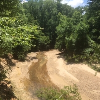Home Camp-Hardwoods-Creek-Ponds images 6