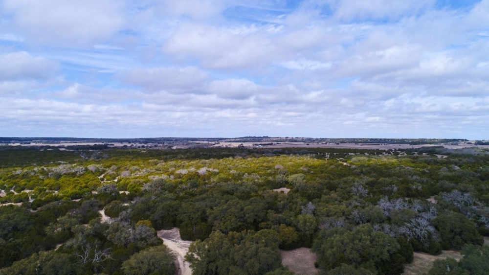 Lometa Ranch featured image