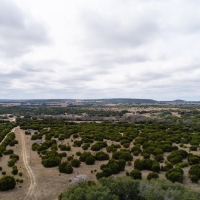 Lometa Ranch images 3