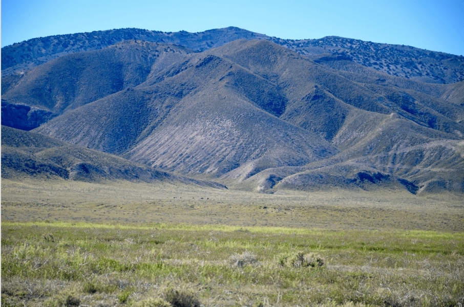 Subdivided Discount Bulk Land featured image