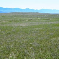 Subdivided Discount Bulk Land images 3