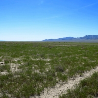 Subdivided Discount Bulk Land images 6