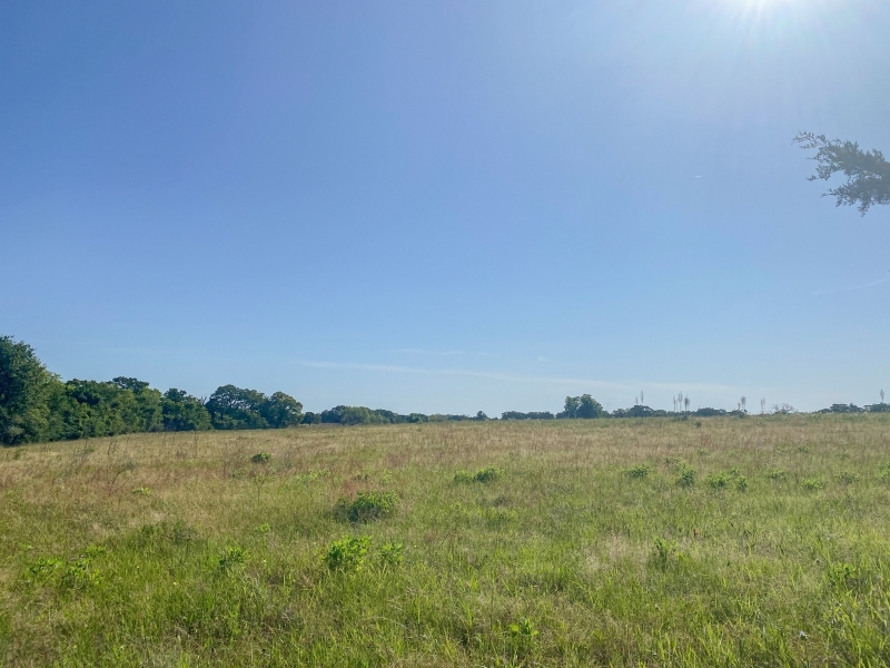 30 Acres Tract 11 Mustang Oaks featured image