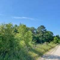 30 Acres Tract 11 Mustang Oaks images 5
