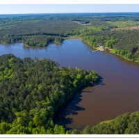 585 Acres in Attala County in Kosciusko MS
