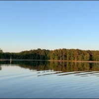 585 Acres in Attala County in Kosciusko MS images 2