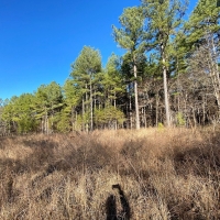 LARGE ACREAGE IN ARKANSAS images 2