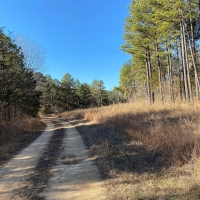 LARGE ACREAGE IN ARKANSAS images 4