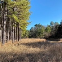 LARGE ACREAGE IN ARKANSAS images 3
