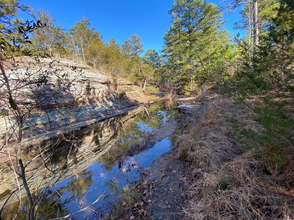 LARGE ACREAGE IN ARKANSAS featured image