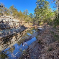 LARGE ACREAGE IN ARKANSAS