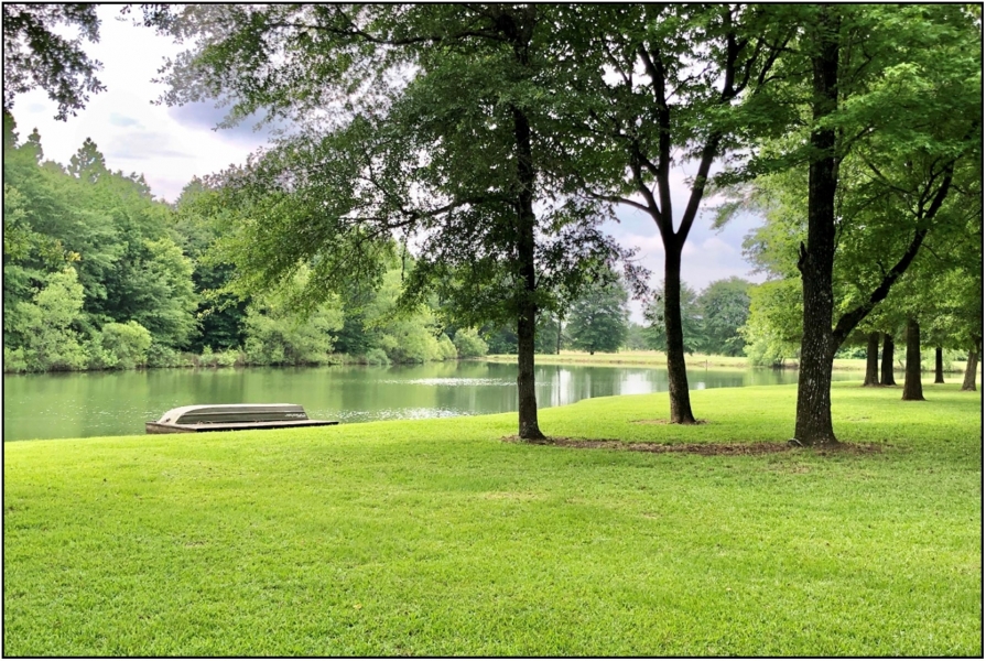 360 Acres with a Cabin in Kemper County at Old Hwy 45 in Scooba MS