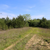 Nice Secluded Hunting Tract or Weekend Getaway images 3