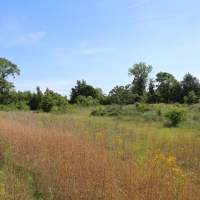 Nice Secluded Hunting Tract or Weekend Getaway images 5