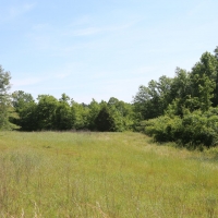 Nice Secluded Hunting Tract or Weekend Getaway images 6