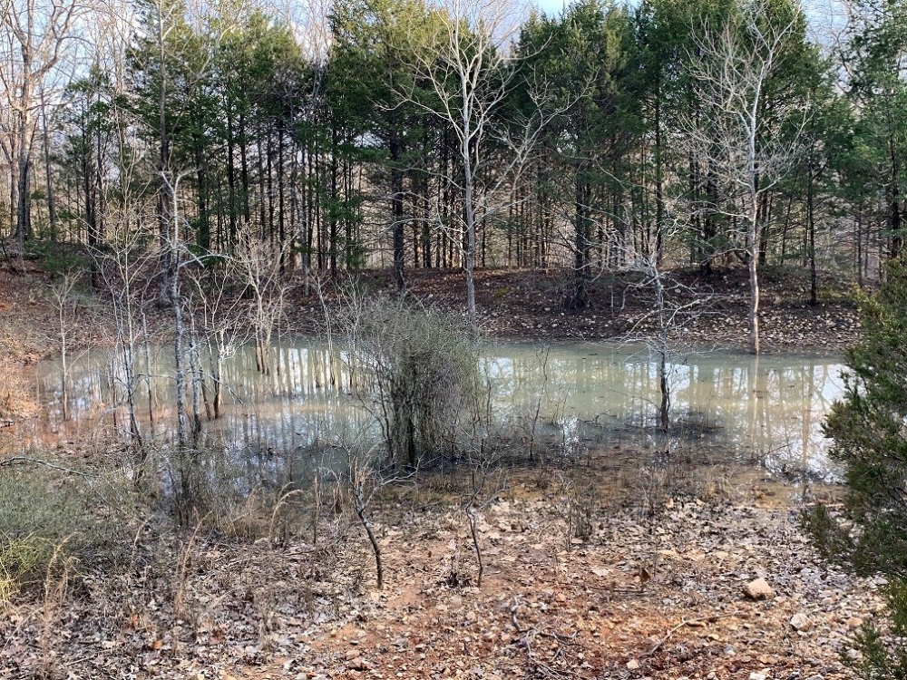 HUNTING LAND FOR SALE IN ZION ARKANSAS featured image