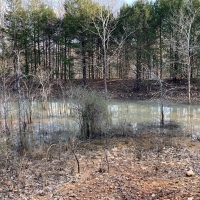 HUNTING LAND FOR SALE IN ZION ARKANSAS