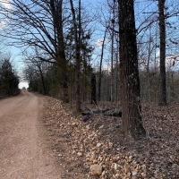 HUNTING LAND FOR SALE IN ZION ARKANSAS images 3