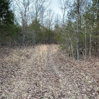HUNTING LAND FOR SALE IN ZION ARKANSAS images 5
